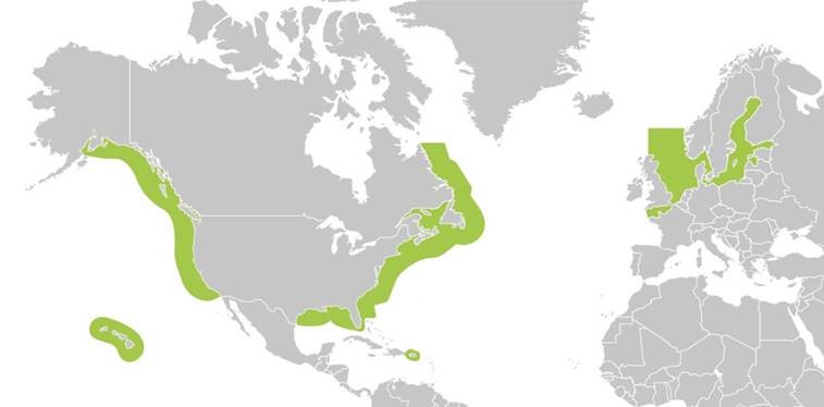 lss-mynd-2.jpg